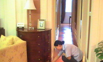 大連泉水家政 鐘點工 做飯收拾家 保姆 保潔服務(wù)