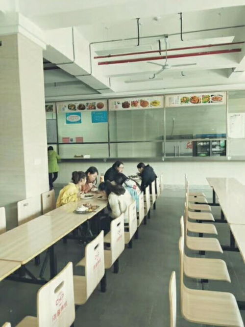 包食宿招移動(dòng)客服 信息技術(shù)咨詢服務(wù)，打造專業(yè)團(tuán)隊(duì)共促發(fā)展