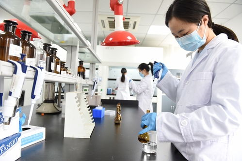 科技管家服務能手 資陽生產力促進中心如何以信息技術咨詢助力政企發展